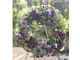 Jardin de Vent̎ʐ^3