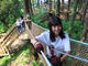tHXgAhx`[Eނ璷̎ʐ^2