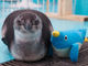 Penguin Cafe TAIL�̎ʐ^3