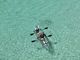 OneUP Paddle̎ʐ^2