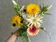 with Flower̎ʐ^4