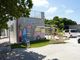 Kanoa Okinawa {ÓX̎ʐ^2