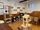Lcafe KL-T`lR-̎ʐ^3