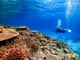 CHIME DIVE̎ʐ^3