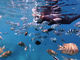 UNDA Snorkeling Club̎ʐ^3