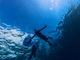 UNDA Snorkeling Club̎ʐ^3