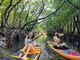 NATURE SHOP PAO̎ʐ^3