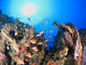 RK Diving School̎ʐ^3