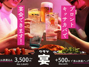 PRONTO �v�����g ���l�O��r���X�̎ʐ^1
