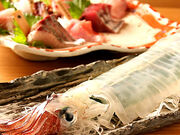 ���l�C�J�Z���^�[�̎ʐ^1