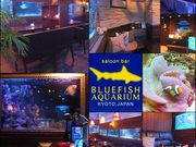u[tBbV ANAE s BLUEFISH AQUARIUM̎ʐ^1