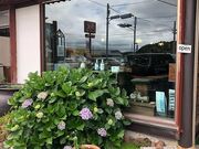 齒������̎ʐ^1