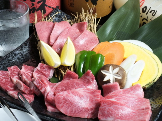 �ē� �M���̎ʐ^1