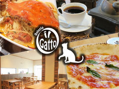 Osteria il Gatto IXeA C Kbg̎ʐ^1