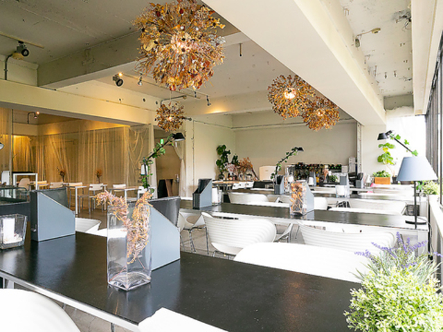 cafe Mode JtF [h̎ʐ^1