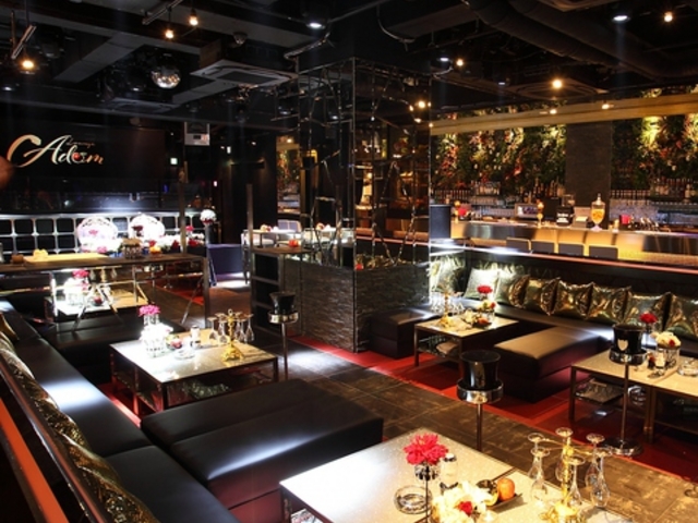 A_EW Adam lounge̎ʐ^1