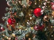 C^Ao[ _[ Dari {ؓX̎ʐ^1