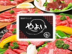 ē _CjO 悢̎ʐ^1