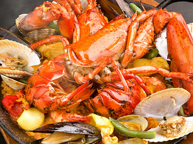 ǂ JgZ Catorce̎ʐ^1