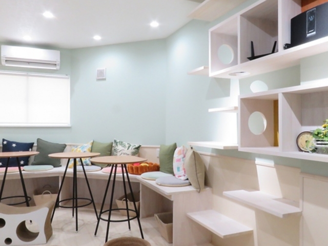 �L�J�t�F ���v�~�B�̎ʐ^1