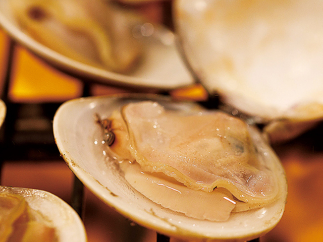 ͂܂ ͂܂ 򕌉wO̎ʐ^1