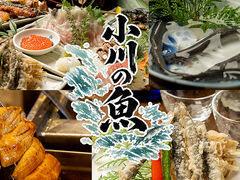 ����̋��̎ʐ^1