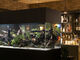 BAR FRIEND HEART th n[g̎ʐ^3