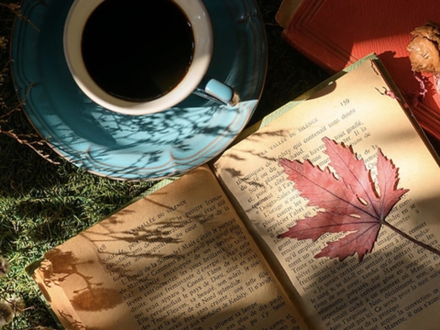 Hackberry nbNx[̎ʐ^1