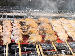 炭火焼き鳥 楽の写真1