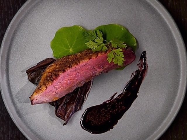 J_Ci[YY ܔc _CjOo[̎ʐ^1