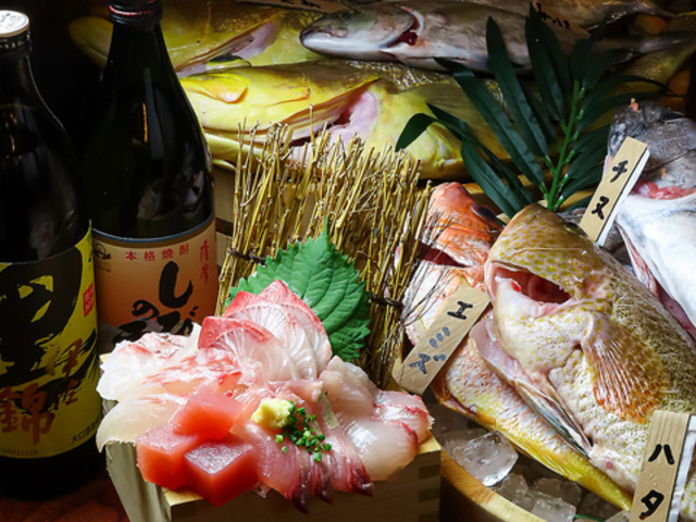 ������������ �����������w�̎ʐ^1