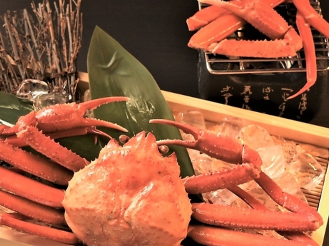 ���� �C�N������ ���ɐV ���{�X�̎ʐ^1