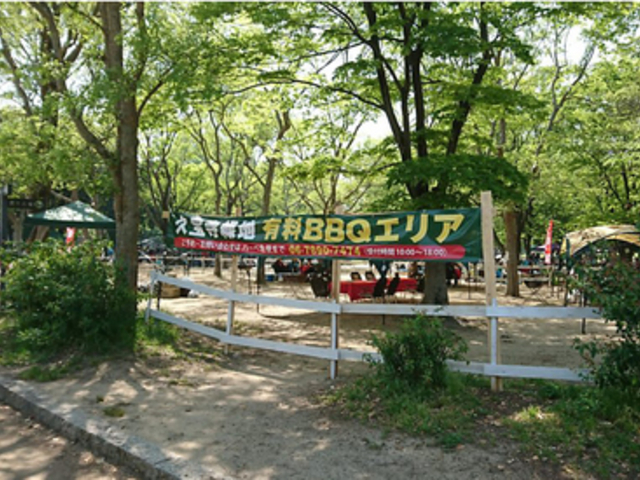 v󎛗ΒnLBBQGA̎ʐ^1