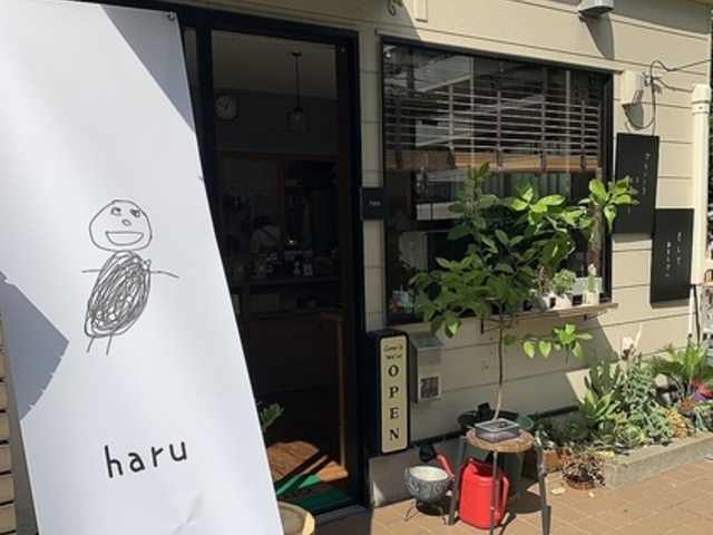 haru �n���̎ʐ^1