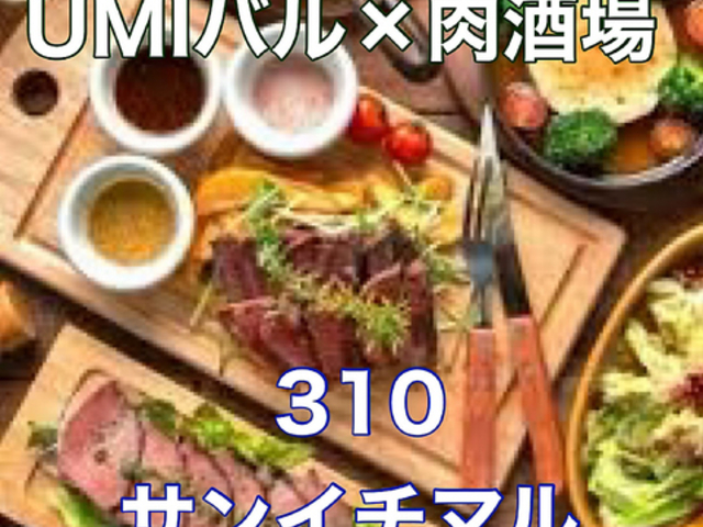 UMIo~ 310 HtX̎ʐ^1