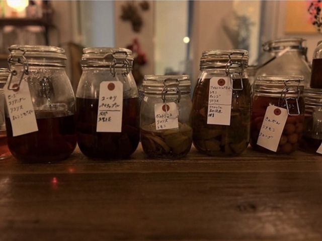 monkey puzzle L[ pY̎ʐ^1