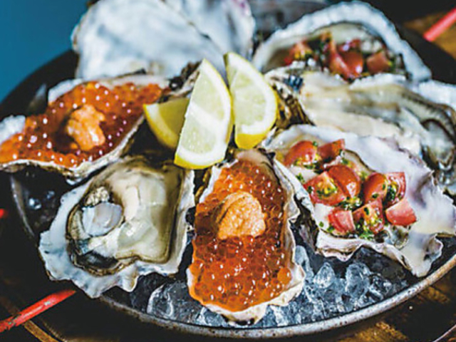 SALT MODERATE \gf[g̎ʐ^1