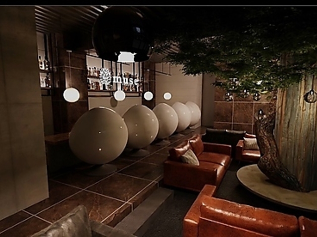 V[VJtF&o[ muse cX̎ʐ^1