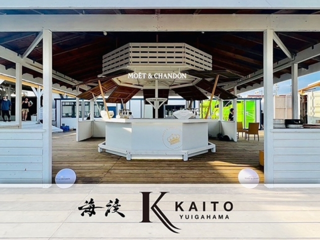 C̉ KAITO YUIGAHAMA Cn RKl̎ʐ^1