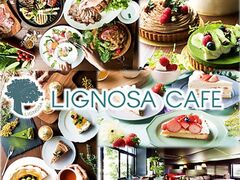 LIGNOSA CAFE Om[TJtF̎ʐ^1