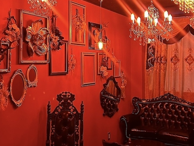 Vector shisha xN^[V[V̎ʐ^1