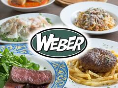 WEBER EFo[̎ʐ^1