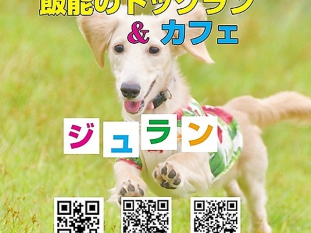 �h�b�O�����J�t�F �W�������̎ʐ^1