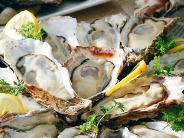 GCX V[ ICX^[o[ ~cNUX̎ʐ^1