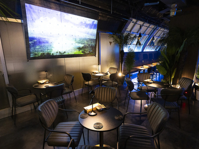 Star Rist X^[Xg ~cV_X̎ʐ^1