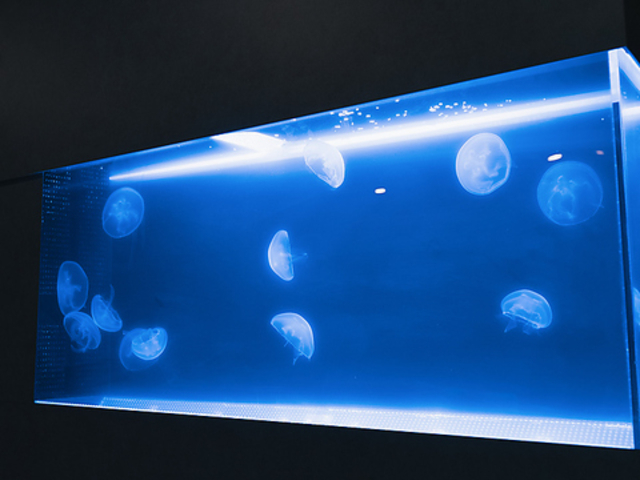 �N���Q�̂���J�t�F&�o�[ tayuta �^���^�̎ʐ^1