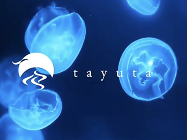 �N���Q�̂���J�t�F&�o�[ tayuta �^���^�̎ʐ^1