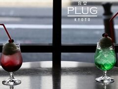 HPLUG s GۓX̎ʐ^1