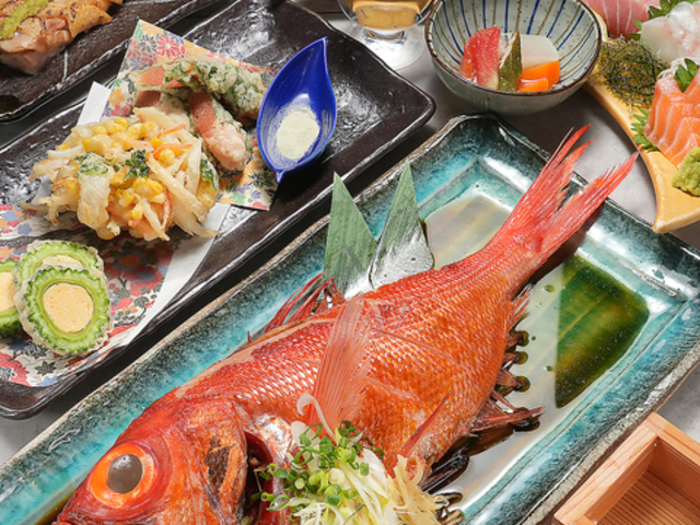 �a���o�� �J��̌��̎ʐ^1