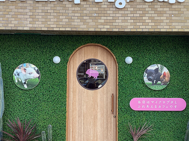 m Little Pigs Cafe GgsbOXJtF̎ʐ^1